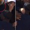 Tiafoe, racchetta ritrovata al Roland Garros. La tifosa: "Non volevo rubarla" Tiafoe, racchetta ritrovata al Roland Garros. La tifosa: "Non volevo rubarla"