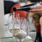 Vino, Zoppas: "Obiettivo portare export Italia a quota 10 mld"