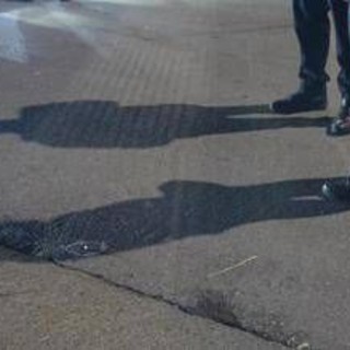 Dolores Dori, 44enne uccisa in campo nomadi nel Bresciano: fermati madre e figlio della vittima