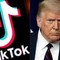 TikTok, Trump: &quot;C'è un acquirente, un gruppo di persone molto ricche&quot;