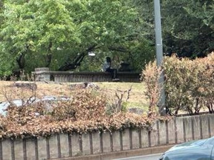 Milano, nuova aggressione ai Bastioni di Porta Venezia dopo la rissa: "Ormai è zona di crack" Milano, nuova aggressione ai Bastioni di Porta Venezia dopo la rissa: "Ormai è zona di crack"