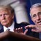 Trump: "Favorevole a eventuale incriminazione di Fauci" Trump: "Favorevole a eventuale incriminazione di Fauci"