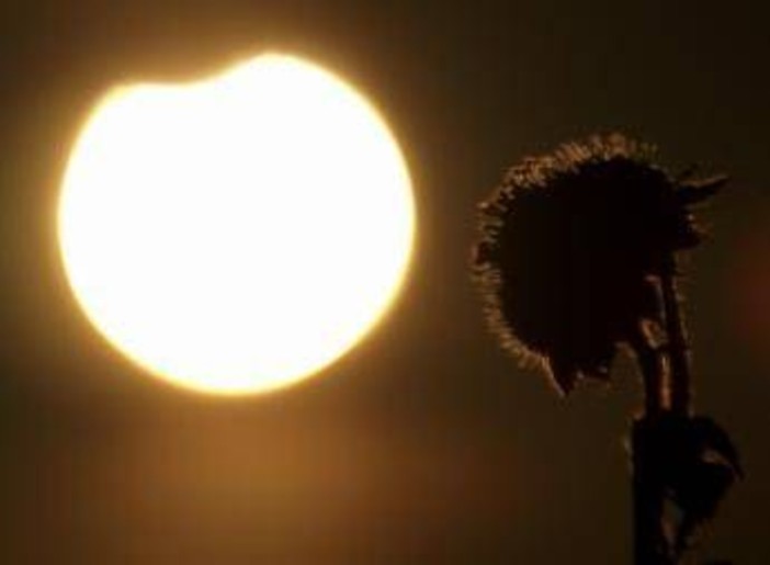 Eclissi solare parziale oggi 17 febbraio, dove si vede e a che ora Eclissi solare parziale oggi 17 febbraio, dove si vede e a che ora