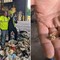 "Ho buttato due anelli tra i rifiuti", li ritrova nella discarica: 'miracolo' a New York