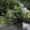 Maltempo in Toscana, 500 persone isolate a Portoferraio