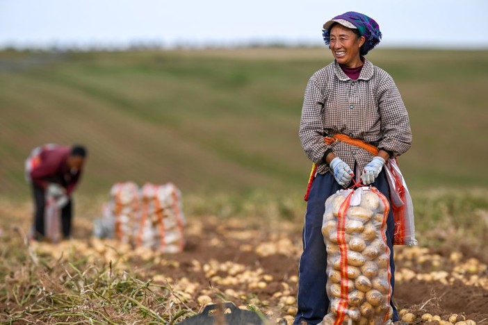 La Cina prevede un 2026 da record per il raccolto di cereali La Cina prevede un 2026 da record per il raccolto di cereali