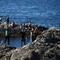 Migranti, Ue: "Controlli frontiera Italia-Spagna temporanei". Nuovo attacco di Madrid a Roma Migranti, Ue: "Controlli frontiera Italia-Spagna temporanei". Nuovo attacco di Madrid a Roma