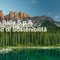 Profilo di Sostenibilità di Axpo Italia, focus su ambiente, innovazione e comunità