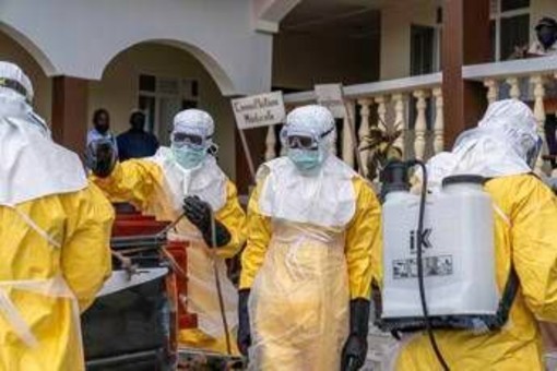 Ebola, il co-scopritore del virus: "Si diffonde a velocità mai vista" Ebola, il co-scopritore del virus: "Si diffonde a velocità mai vista"