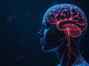 Estate, i consigli dei neurologi per la salute del cervello in vacanza