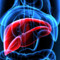 Mash, esperti a confronto su importanza diagnosi per patologia epatica sottovalutata Mash, esperti a confronto su importanza diagnosi per patologia epatica sottovalutata