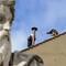 Conclave dalla A alla Z, le parole chiave dell'elezione del 267esimo Papa