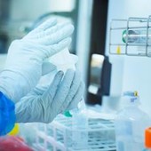 Donna muore di peste polmonare in Siberia, lavorava in laboratorio: in 200 in quarantena Donna muore di peste polmonare in Siberia, lavorava in laboratorio: in 200 in quarantena