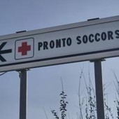 Morso di zecca e rischio encefalite, Bassetti: "Grave infezione virale, massima attenzione"