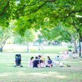 Meteo, caldo anomalo a fine settembre: temperature fino a 31°C in Italia Meteo, caldo anomalo a fine settembre: temperature fino a 31°C in Italia