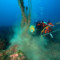 GhostNets: rimosse 3 tonnellate di reti fantasma dai fondali siciliani