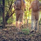 Sport per gli over 60, i 5 consigli per iniziare con un approccio 'dolce' Sport per gli over 60, i 5 consigli per iniziare con un approccio 'dolce'