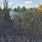 Roma, da via Pineta Sacchetti a Cinecittà: diversi incendi nella Capitale e dintorni