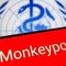 Vaiolo delle scimmie, Oms: "Mpox continua a circolare, a novembre 2.150 casi e 5 morti"