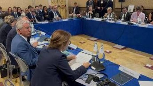 Alzheimer, Martorana (Tor Vergata): "Sistema non ancora pronto a nuove terapie" Alzheimer, Martorana (Tor Vergata): "Sistema non ancora pronto a nuove terapie"
