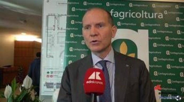 Agricoltura, Giansanti (Confagricoltura): "Servono risorse per continuare a innovare" Agricoltura, Giansanti (Confagricoltura): "Servono risorse per continuare a innovare"