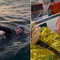 Nuota per 160 km dalla Svezia alla Polonia e attraversa il Mar Baltico in 56 ore