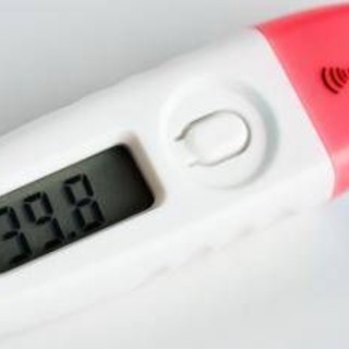 Influenza e virus 'cugini', Pregliasco: &quot;Con il freddo aumentano i casi, possibili 400mila colpiti in una settimana&quot;