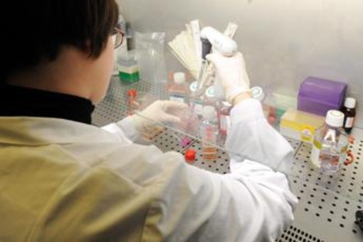 Medicina di laboratorio al top in Italia, Sibioc: "Nostri esperti riconosciuti tra eccellenze internazionali" Medicina di laboratorio al top in Italia, Sibioc: "Nostri esperti riconosciuti tra eccellenze internazionali"