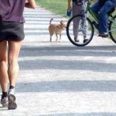 Correre pianissimo fa bene al cervello, lo studio a sorpresa