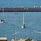 Flotilla, 46 italiani fermati da Israele. Dal carcere all'espulsione, cosa succede