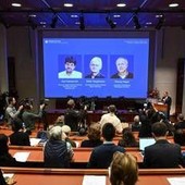 Nobel per la Medicina, scienziata amica dei vincitori: "La forza della curiosità li ha spinti controcorrente" Nobel per la Medicina, scienziata amica dei vincitori: "La forza della curiosità li ha spinti controcorrente"