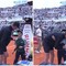 Internazionali, Sinner e l'abbraccio (commovente) con un raccattapalle Internazionali, Sinner e l'abbraccio (commovente) con un raccattapalle