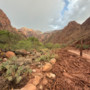 Alluvione lampo travolge il Grand Canyon: 1 morto e 15 escursionisti dispersi Alluvione lampo travolge il Grand Canyon: 1 morto e 15 escursionisti dispersi