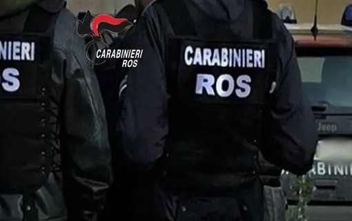 Droga dal Brasile all’Italia, blitz contro la mafia e il narcotraffico