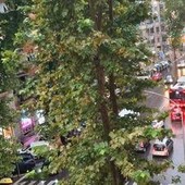 Bomba d'acqua su Roma, il maltempo colpisce la capitale dopo mesi di afa record Bomba d'acqua su Roma, il maltempo colpisce la capitale dopo mesi di afa record
