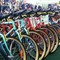 Mobilità, meno emissioni e più alberi con 'Magis bike Challenge'