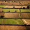 Banca nazionale delle Terre Agricole (Bta), al via nona edizione: in vendita 8.863 ettari per un valore di oltre 121 milioni di euro Banca nazionale delle Terre Agricole (Bta), al via nona edizione: in vendita 8.863 ettari per un valore di oltre 121 milioni di euro