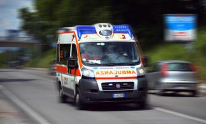 Belluno, cerca pezzi dello specchietto retrovisore in galleria: investito e ucciso 79enne Belluno, cerca pezzi dello specchietto retrovisore in galleria: investito e ucciso 79enne
