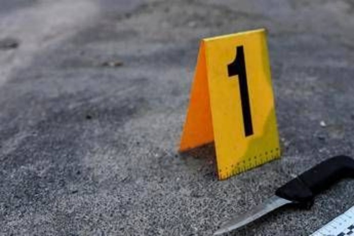 &quot;Troppe armi da fuoco e coltelli in giro&quot;, Pd chiede lo stop in due proposte di legge