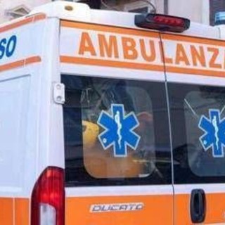 Uccide la moglie malata e si toglie la vita: tragedia familiare a Bologna