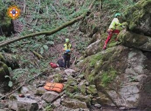 Tenta di salvare 13enne precipitato in una scarpata nel Bosco del Corniglio: scivola e muore sul colpo Tenta di salvare 13enne precipitato in una scarpata nel Bosco del Corniglio: scivola e muore sul colpo