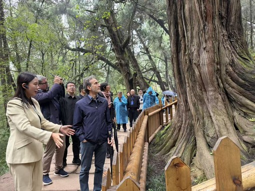 Cina-Italia: Strada per Shu e Via Appia, dialogo attraverso montagne e mari Cina-Italia: Strada per Shu e Via Appia, dialogo attraverso montagne e mari