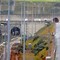 Francia, minibus si scontra con treno fermo all'ingresso del tunnel della Manica: 19 feriti di cui 5 gravi Francia, minibus si scontra con treno fermo all'ingresso del tunnel della Manica: 19 feriti di cui 5 gravi