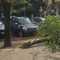 Maltempo a Roma, ramo cade fuori liceo a Coppedè: feriti 3 studenti Maltempo a Roma, ramo cade fuori liceo a Coppedè: feriti 3 studenti
