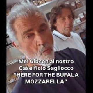 Mel Gibson nel casertano, l'attore pazzo per la mozzarella di bufala
