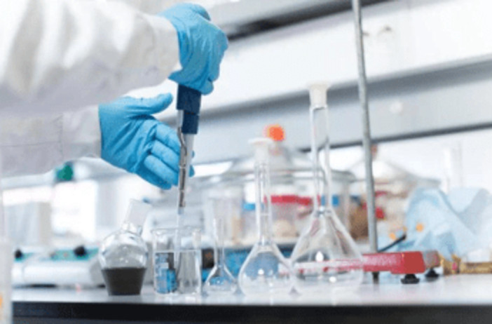 Lupus eritematoso, report: 'servono cure integrate e personalizzate'