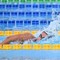 Chi è Simona Quadarella, oro negli 800 stile libero agli Europei di nuoto Chi è Simona Quadarella, oro negli 800 stile libero agli Europei di nuoto