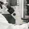 Nuovi virus creati con l'intelligenza artificiale: "E' una svolta per produrre farmaci e terapie" Nuovi virus creati con l'intelligenza artificiale: "E' una svolta per produrre farmaci e terapie"
