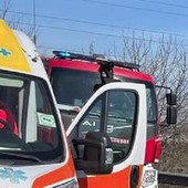 Frontale tra auto a Cesenatico, un morto e due feriti sulla statale Adriatica Frontale tra auto a Cesenatico, un morto e due feriti sulla statale Adriatica