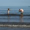 Mare sempre più caldo, nel 2025 secondo valore più alto mai registrato Mare sempre più caldo, nel 2025 secondo valore più alto mai registrato